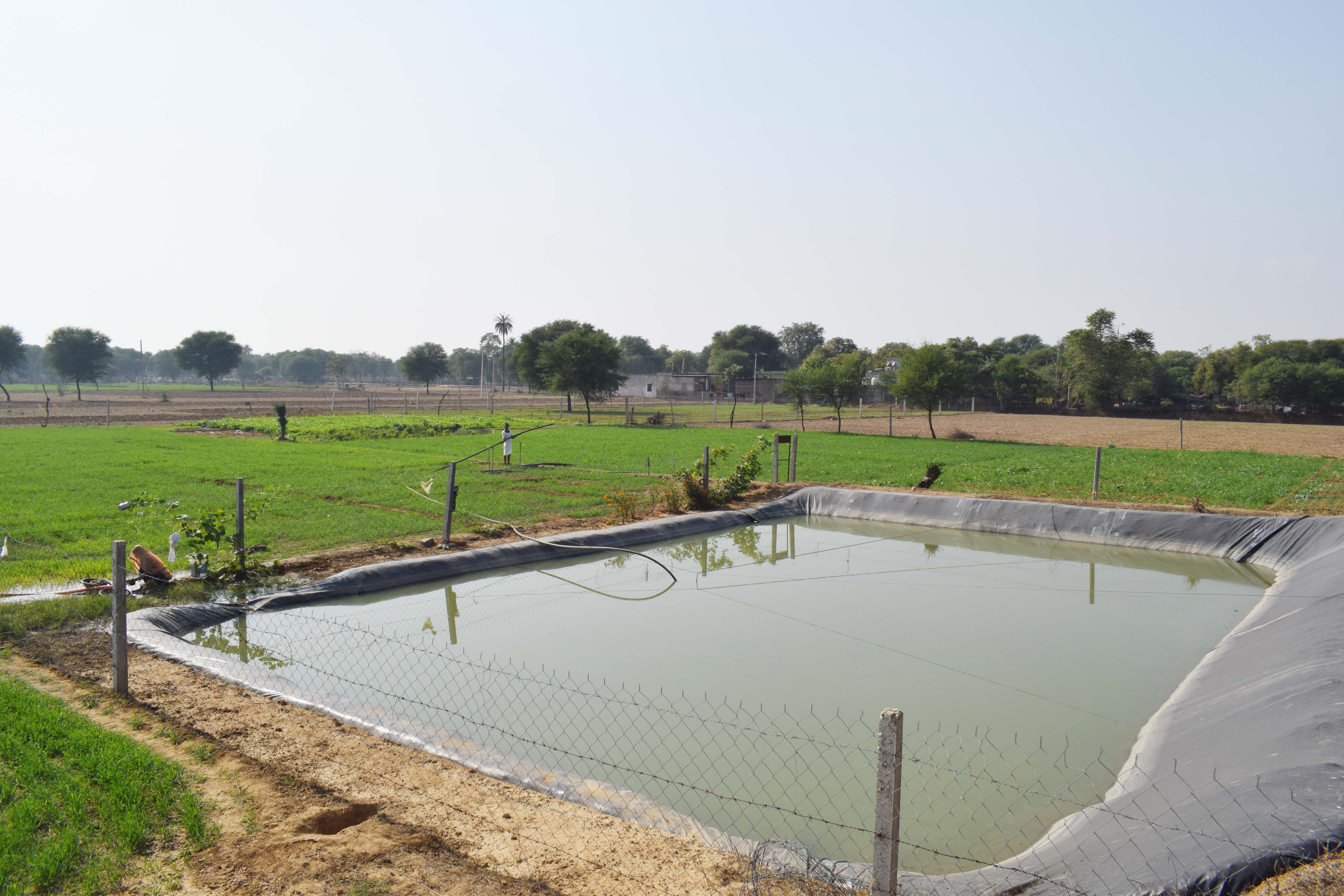 Water Conservation - MAEF